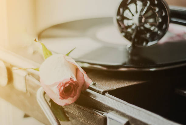 istock Vintage gramophone and pink rose 950306152