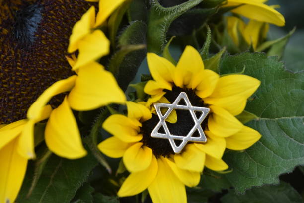 istock Star of David on a flower 950306282