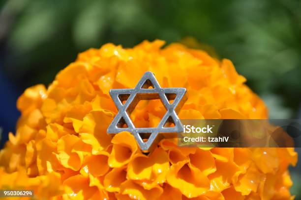Estrella De David En Una Flor Foto de stock y más banco de imágenes de Arte - Arte, Colorido, Conceptos - iStock Estrella De David En Una Flor Foto de stock y más banco de imágenes de Arte - Arte, Colorido, Conceptos - iStock