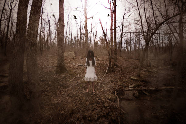 istock Forest of the darkness 950306434