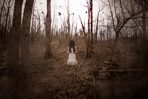 3d illustration of ghost girl in white dress in the abandoned forest ,Scary background mixed media for book cover,book illustration