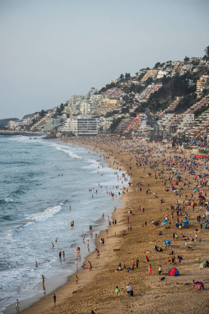 istock Vina del Mar beach and village 950310004