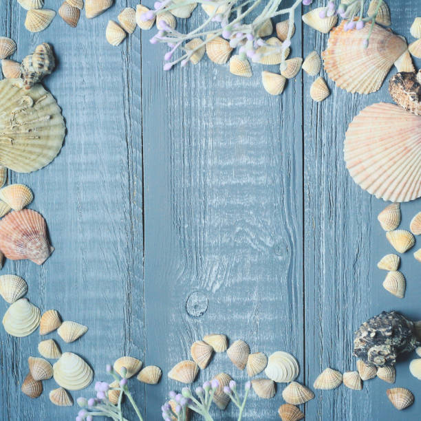 istock blue wooden background with beautiful seashells .copy space for text 950310356