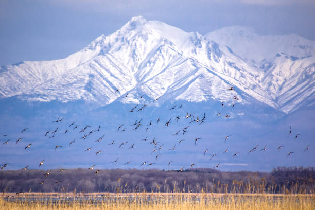 istock Lake Tofutsu and Mount Shari 950310508