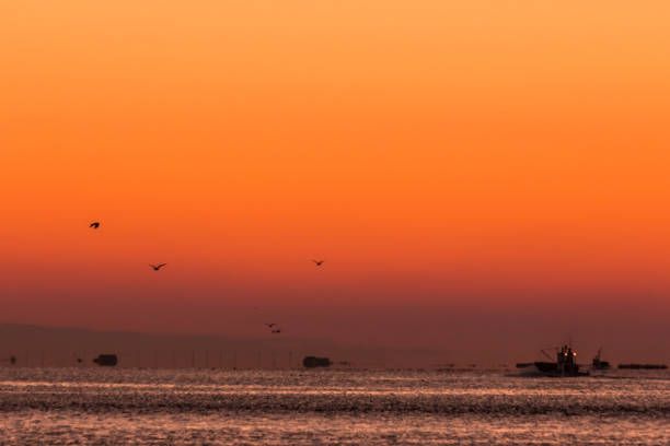 istock The Sea of Okhotsk 950310522