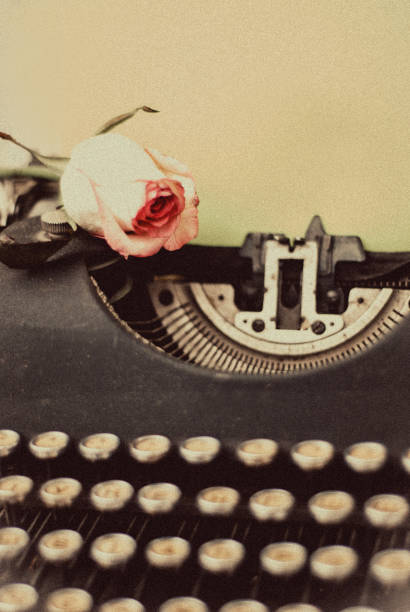 istock fresh pink rose on vintage typewriter with blank page, retro toned 950313464