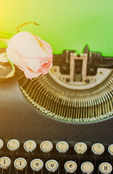 istock fresh pink rose on vintage typewriter with blank page 950313478