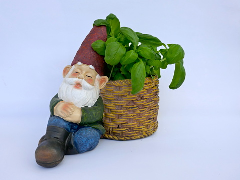 Sleeping, sitting garden gnome leans against a basket. Isolated on white background