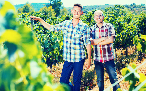 istock Two  gardeners standing together in grapes tree yard 950315100