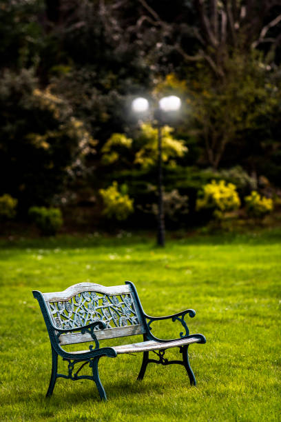 istock Old retro style iron bench in garden at springtime 950322212