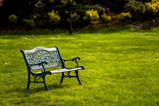 Old retro style iron bench in garden at springtime.