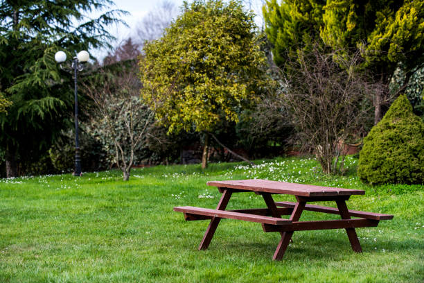 istock Wooden picnic table and bench in garden 950322244