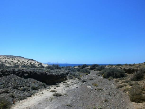 istock Papagayo beach, Lanzarote, Spain 950324314