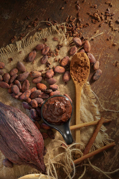 istock Cocoa pod ,beans and cocoa nibs setup on rustic wooden background 950324416
