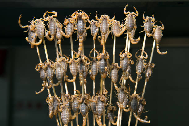 Grill and fried scorpions on stick Grill and fried scorpions on stick from Wangfujing street at Beijing, China wangfujing stock pictures, royalty-free photos & images