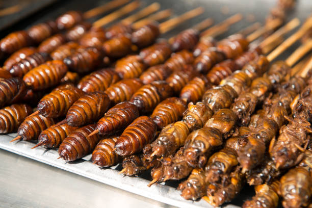 istock Grill and fried silkworm pupae on stick 950326126