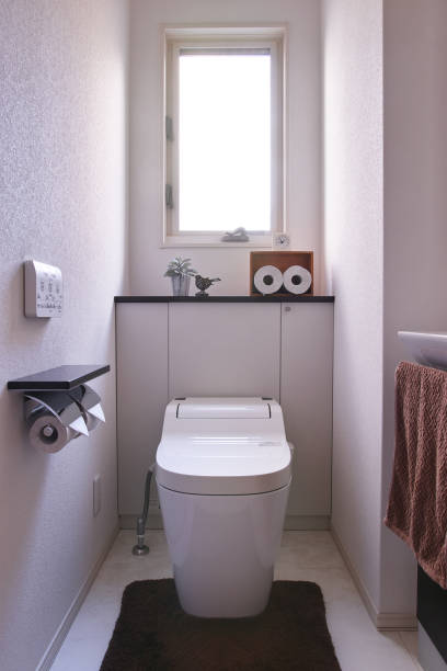 Japanese Home Toilet Japanese Home Toilet japanese toilet stock pictures, royalty-free photos & images