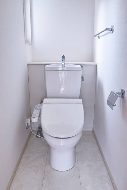 istock Japanese Home Toilet 950327802