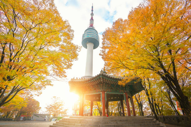 pavillon chinois à l’automne avec le lever du soleil du matin et n séoul tour - corée photos et images de collection