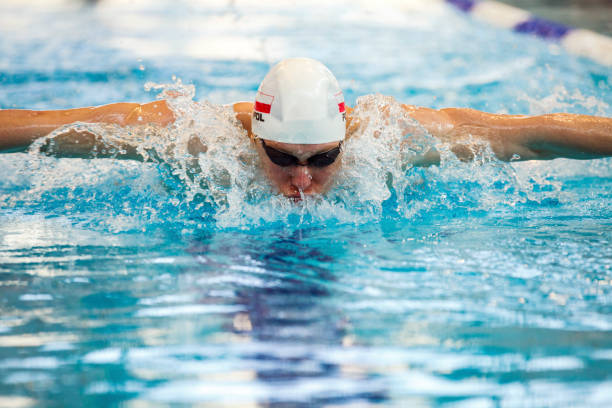 istock Swimmer Training Butterfly Stroke In Swimming Pool 950336610