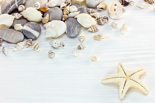 assortment of seashells, marine stones and starfish on wooden background. macro view
