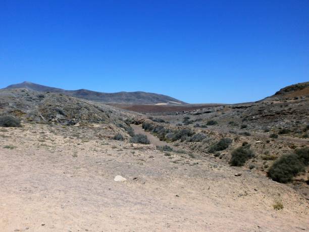 istock Papagayo beach, Lanzarote, Spain 950338458