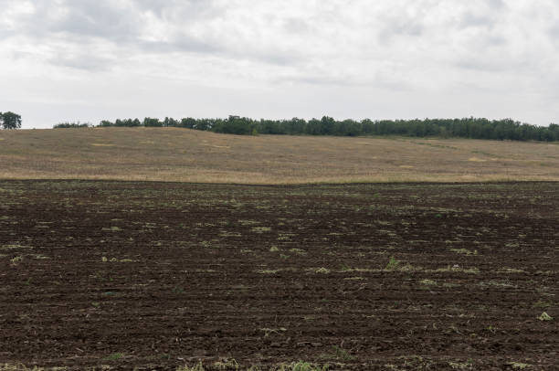 istock Heavy big grey clouds in the cold autumn sky over fields, forests and mountains. Before storm 950341414