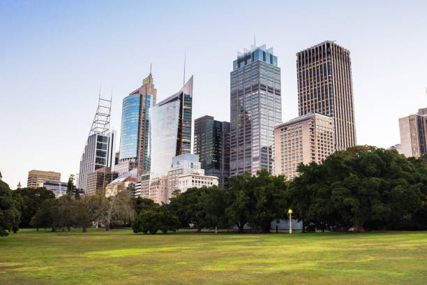 istock Sydney cityscape view during dusk 950345402