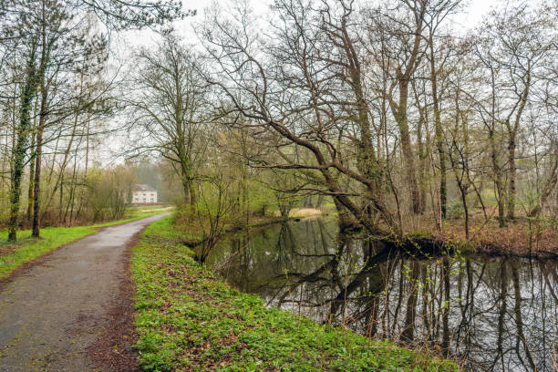 istock Curved path in a park in the spring season 950345542