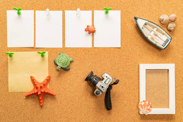 Announcement board with camera, boat, Photo frame, star fish and Turtles stock photo