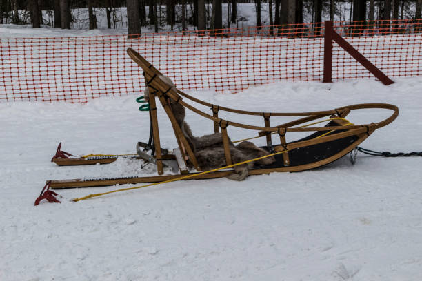 istock Sled for running on dog sleds 950354554