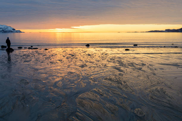 istock Person enjoying a beautiful sunset at the beach 950359412