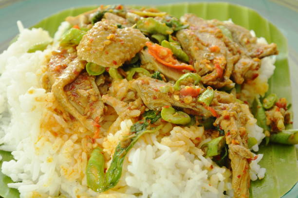 istock spicy fried duck meat curry with basil leaf and rice 950359988