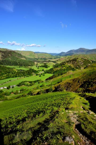 istock The track of Sticks Pass 950364148