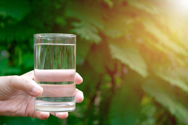 istock hand holding water glass in nature on green background. 950364484