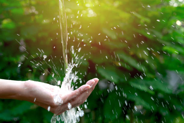 istock water flow to hand in the garden on  green background. 950364768