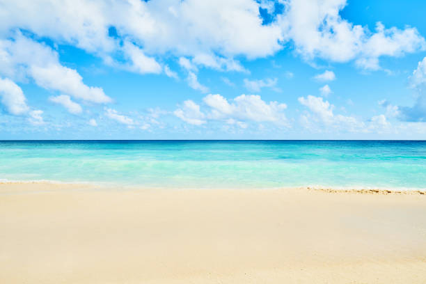 istock Clear aqua blue sea water and white sand tropical beach 950371540