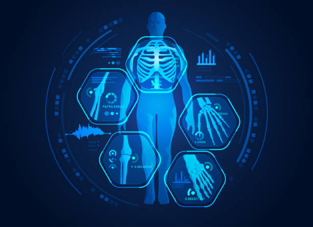 illustrazioni stock, clip art, cartoni animati e icone di tendenza di scansione del corpo - radiografia