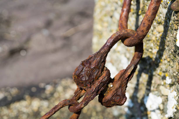 rusty chain in Schelphoek, Holland