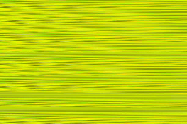 Multicolored yellow background.