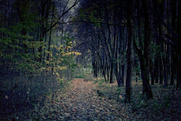 istock Autumn in the Park. 950382646