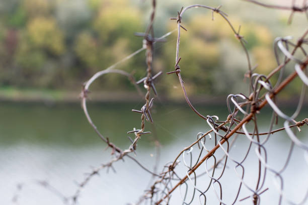 istock Barbed wire in a web on the background of a river, close up 950391196