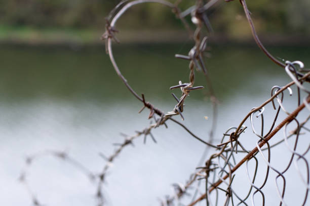 istock Barbed wire in a web on the background of a river, close up 950391348