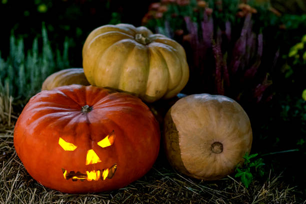 istock Halloween pumpkin lantern head jack, burning eyes on an autumn background 950392814
