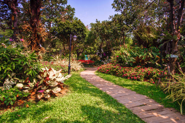 istock Flower garden in summer 950396582
