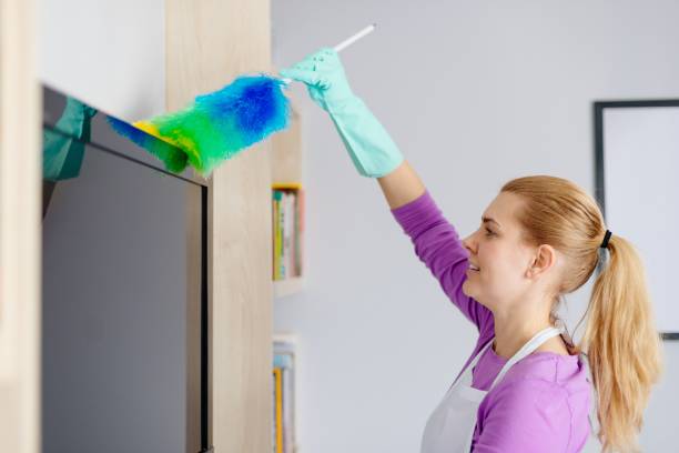 Young beautiful woman in white apron cleaning tv stock photo