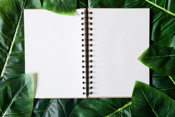 istock Flat lay of layout made leaves with white paper frame. 950404272