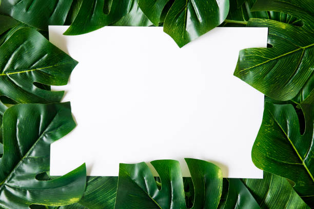 istock Flat lay of layout made leaves with white paper frame. 950404300