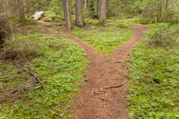 un chemin de montagne unique se divise en deux directions différentes. c’est une journée nuageuse automnale. - footpath european alps fence woods photos et images de collection