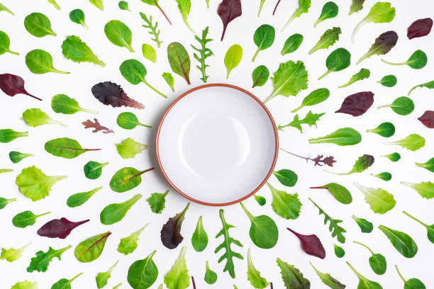 Different salad leaves and a bowl on white background Spring background with salad leaves salad bowl photos stock pictures, royalty-free photos & images